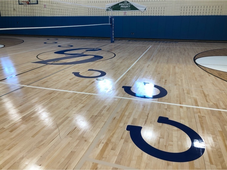 middle school gym floor with CD and horseshoes painted