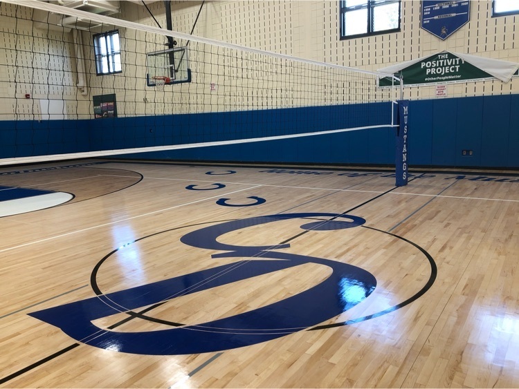 middle school gym floor and volleyball net