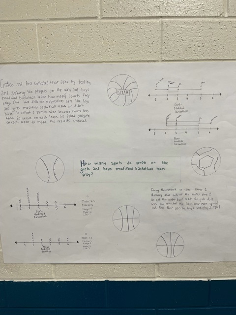 a data poster made by middle school students
