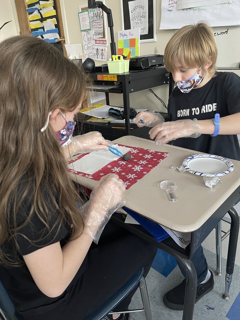 a girl and a boy sit across from one another at a classroom desk and dissect an owl pellet