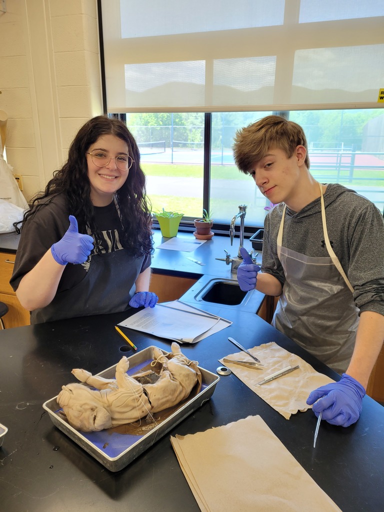a high school female and male wear blue exam gloves and give thumbs up over fetal pig project on the lab table