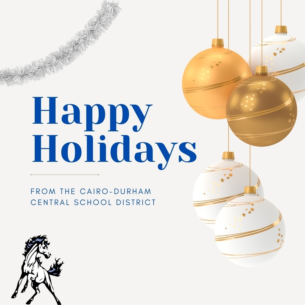 Happy Holidays from Cairo-Durham CSD