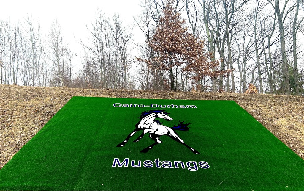 CD Mustangs logo