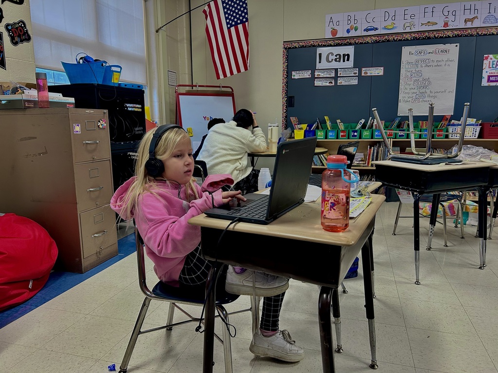 Assessments on Computers in 2nd Grade