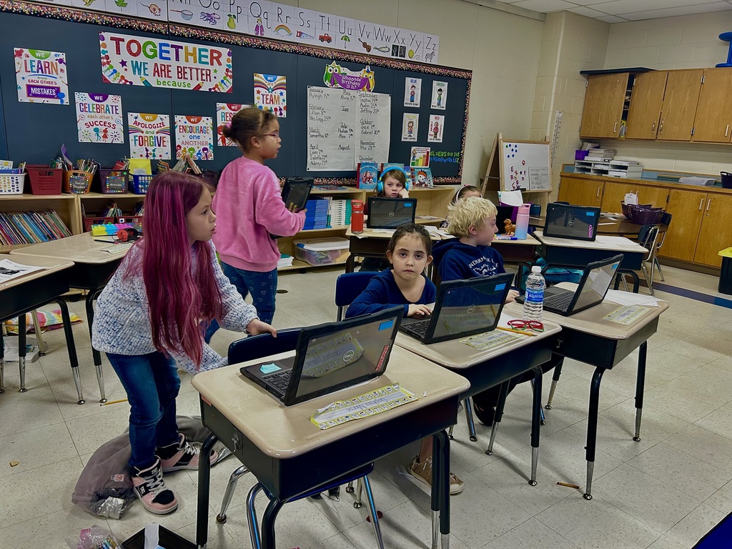 Assessments on Computers in 2nd Grade
